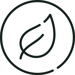 organic fabric clothing