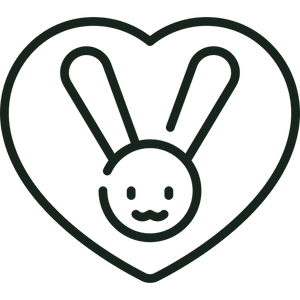 cruelty free clothing and production